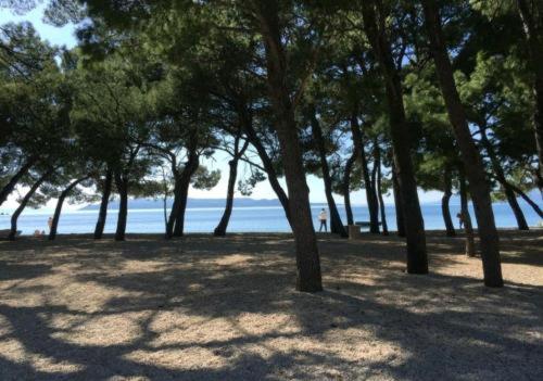 Aron * Makarska