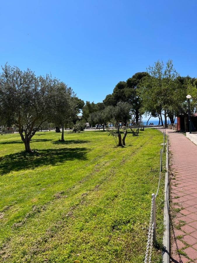 Aron * Makarska
